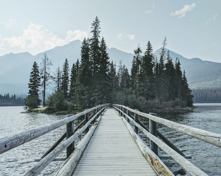 Wooden Bridge Weathered Timber Rustic Bridge Path