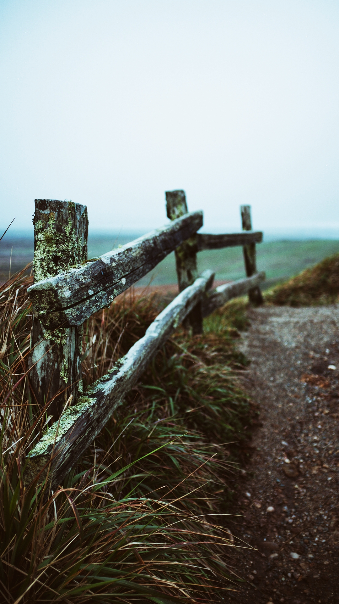 Wooden Fence Moss Covered Reclaimed Timber Aesthetic