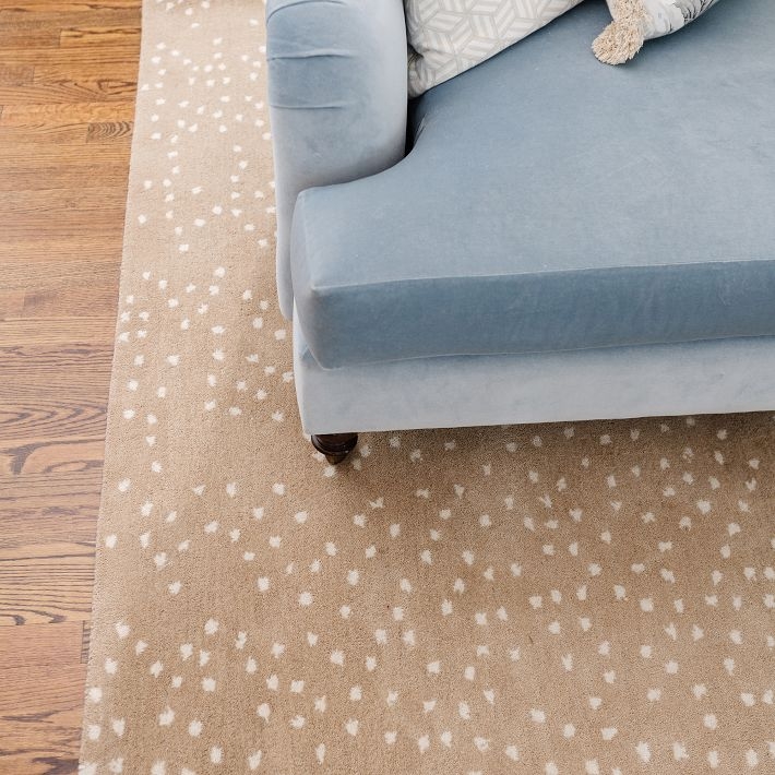 Area Rug with Blue Velvet Contrast and Wool Pattern