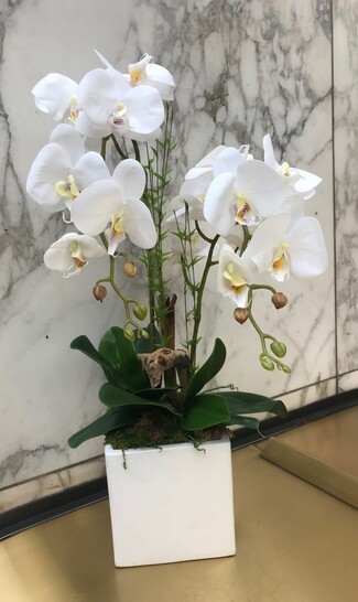 Artificial Orchid Double Stem Arrangement Driftwood Accent Square