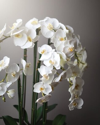 Artificial Orchid Natural Touch Petals Multi Stem Arrangement Silk