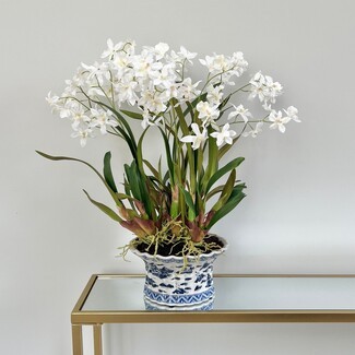 Artificial Orchid Plant Scalloped Rim Chinoiserie Pot Grandmillennial