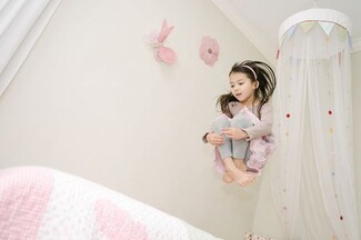Bed Canopy with 3D Wall Art and Whimsical Bed Canopy