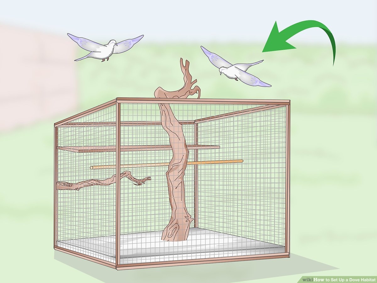 Bird Aviary with Central Climbing Branch for Large Dove Aviary