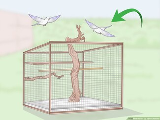 Bird Aviary with Central Climbing Branch for Large Dove Aviary