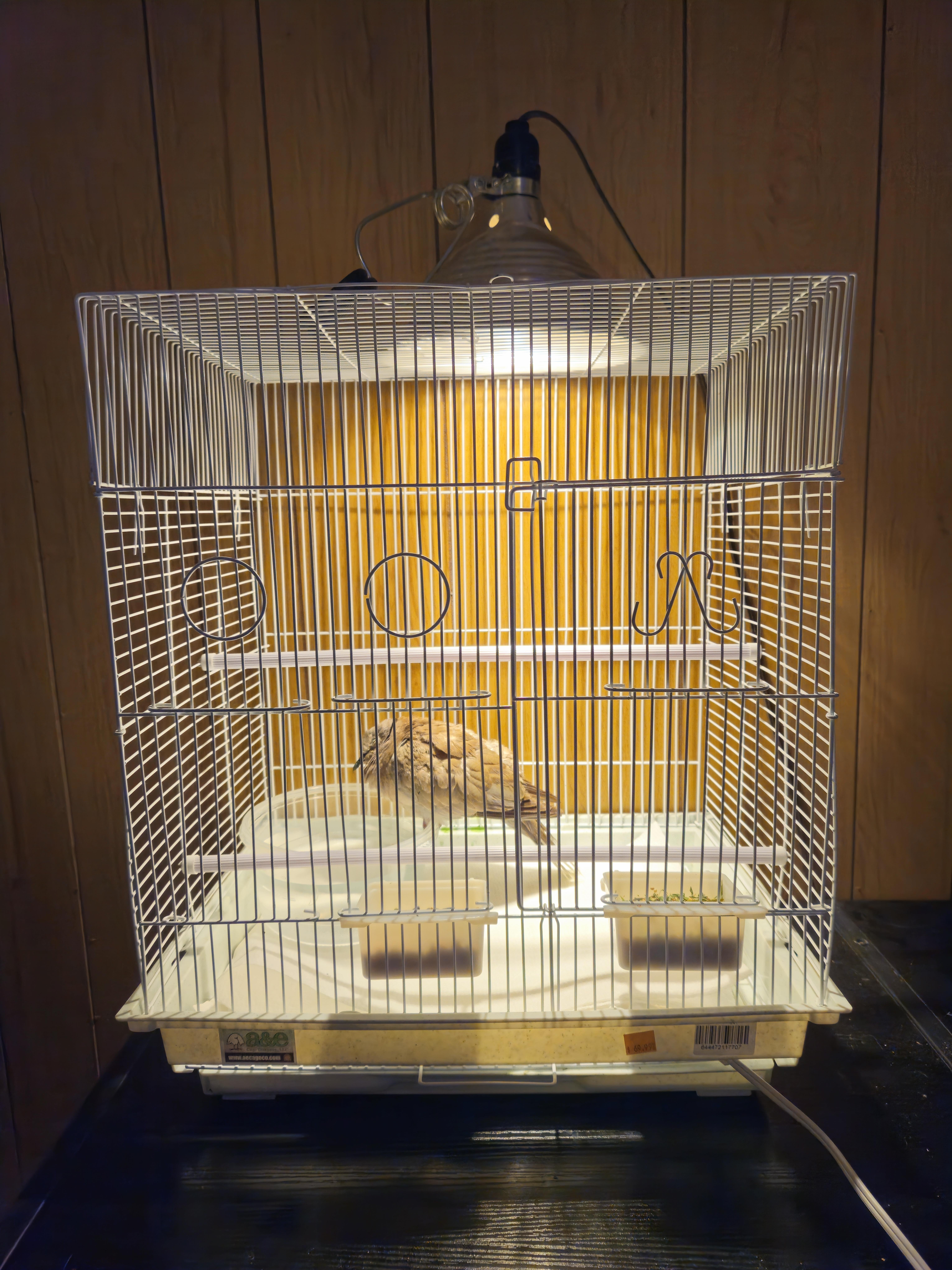 Bird Cage with Dome Heat Lamp and White Wire Bird Cage Ideas