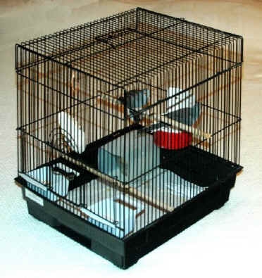 Bird Cage with Internal Perches for Matte Black Bird Habitat