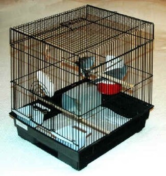 Bird Cage with Internal Perches for Matte Black Bird Habitat