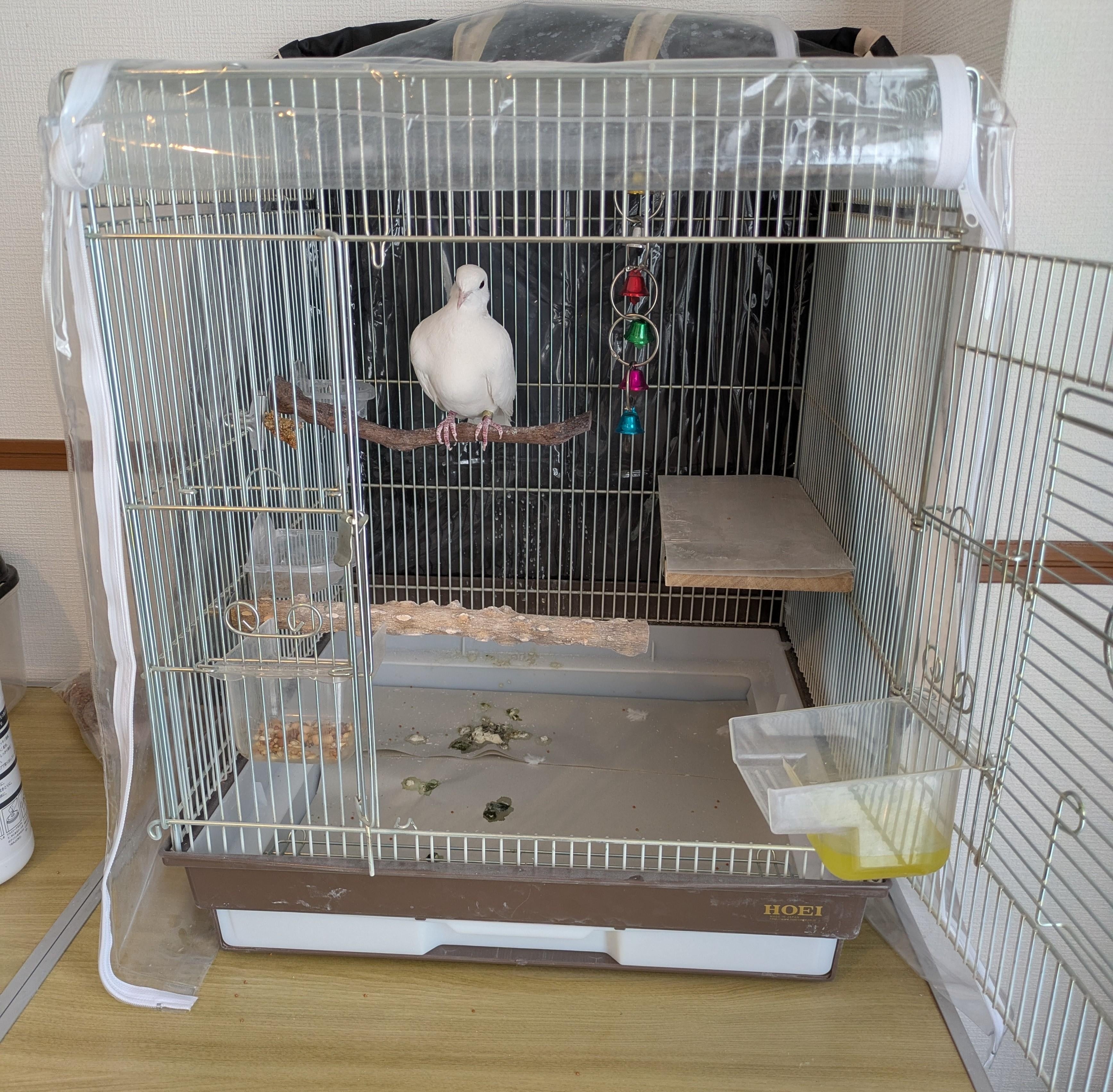 Bird Cage with Transparent Side Wrap for Indoor Dove Cage Setup