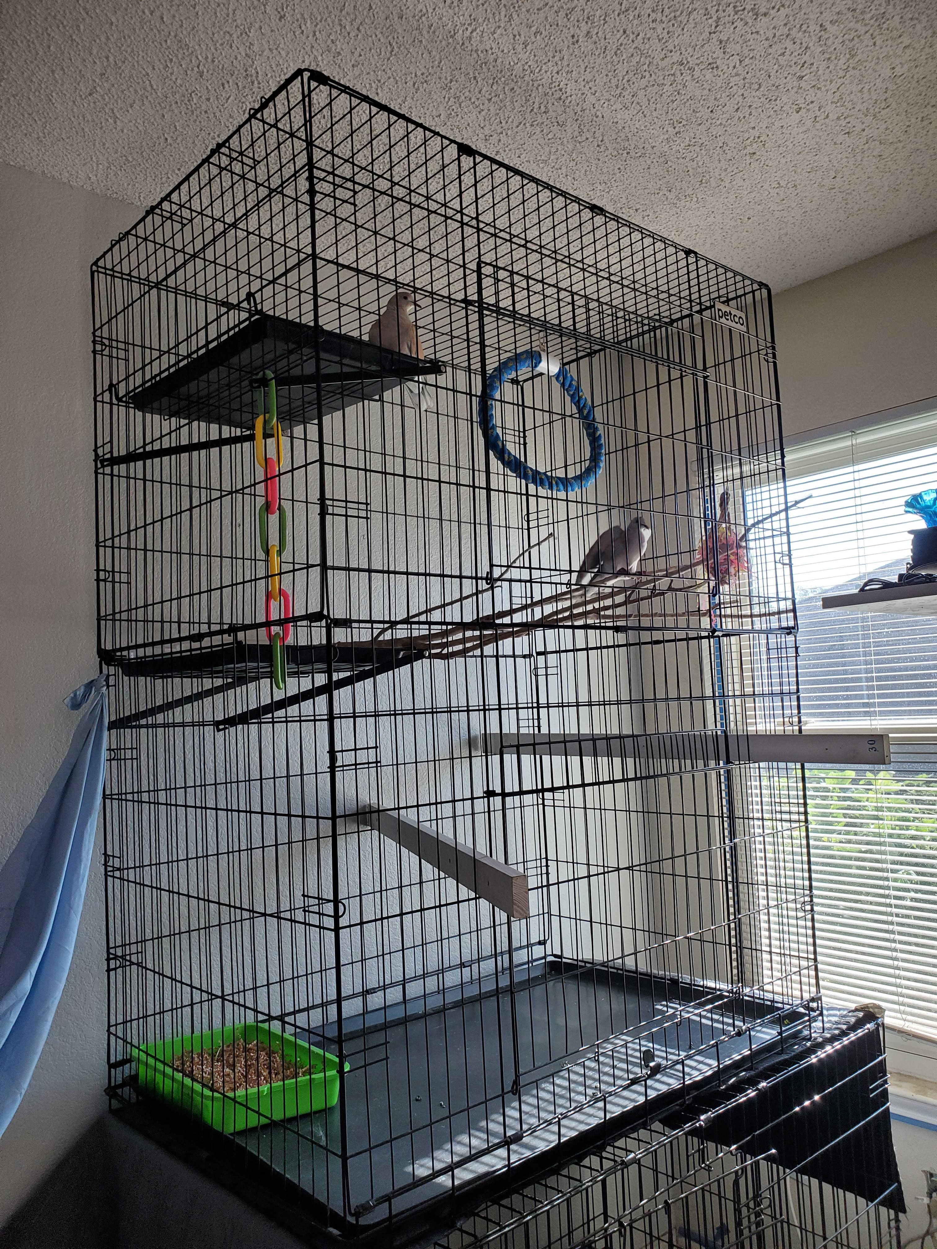 Dove Cage