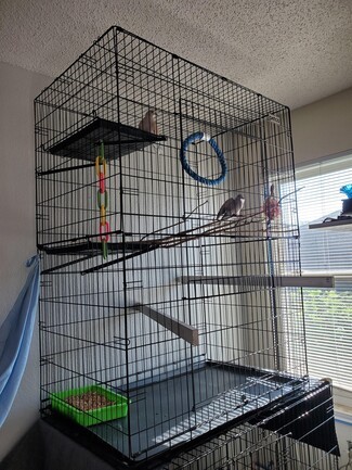 Bird Habitat with Natural Branch Perches for Multi-Level Bird Cage Ideas