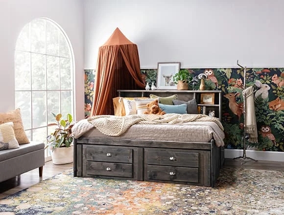 Bookcase Daybed with Integrated Storage and Bookcase Daybed Storage Style
