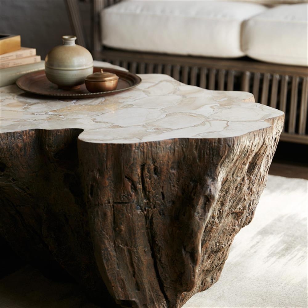 Coffee Table: Fossilized Shell Coffee Table with Trunk Base