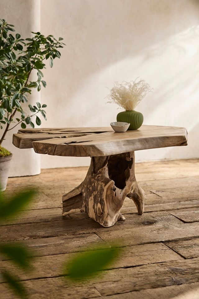 Coffee Table: Thick Wood Slab Sculptural Wood Stump Table