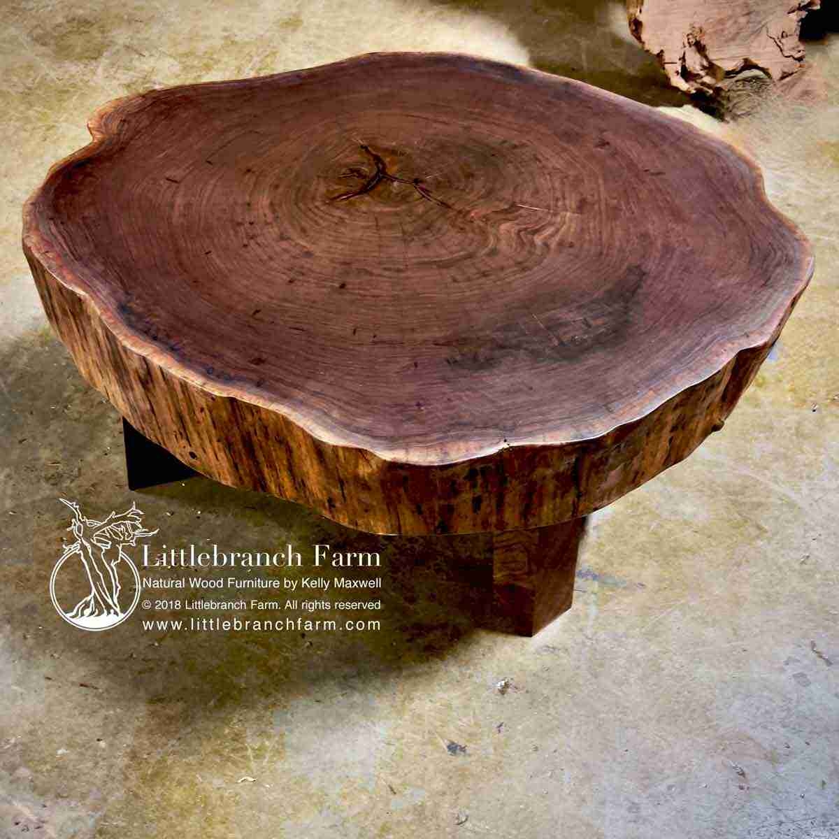 Coffee Table Walnut Log Furniture Tree Ring Top Thick Slab