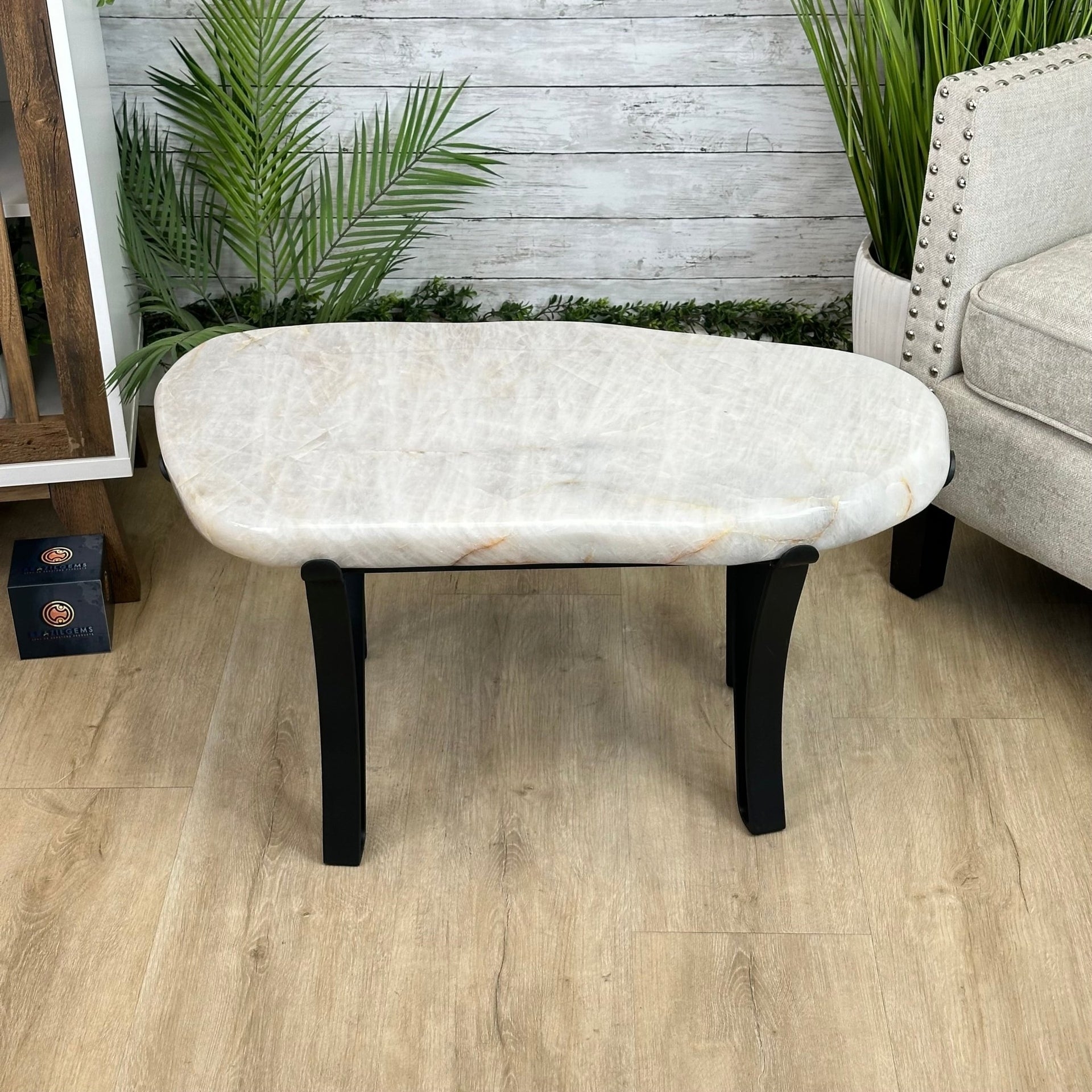 Coffee Table with Organic Shape and Curved Metal Legs