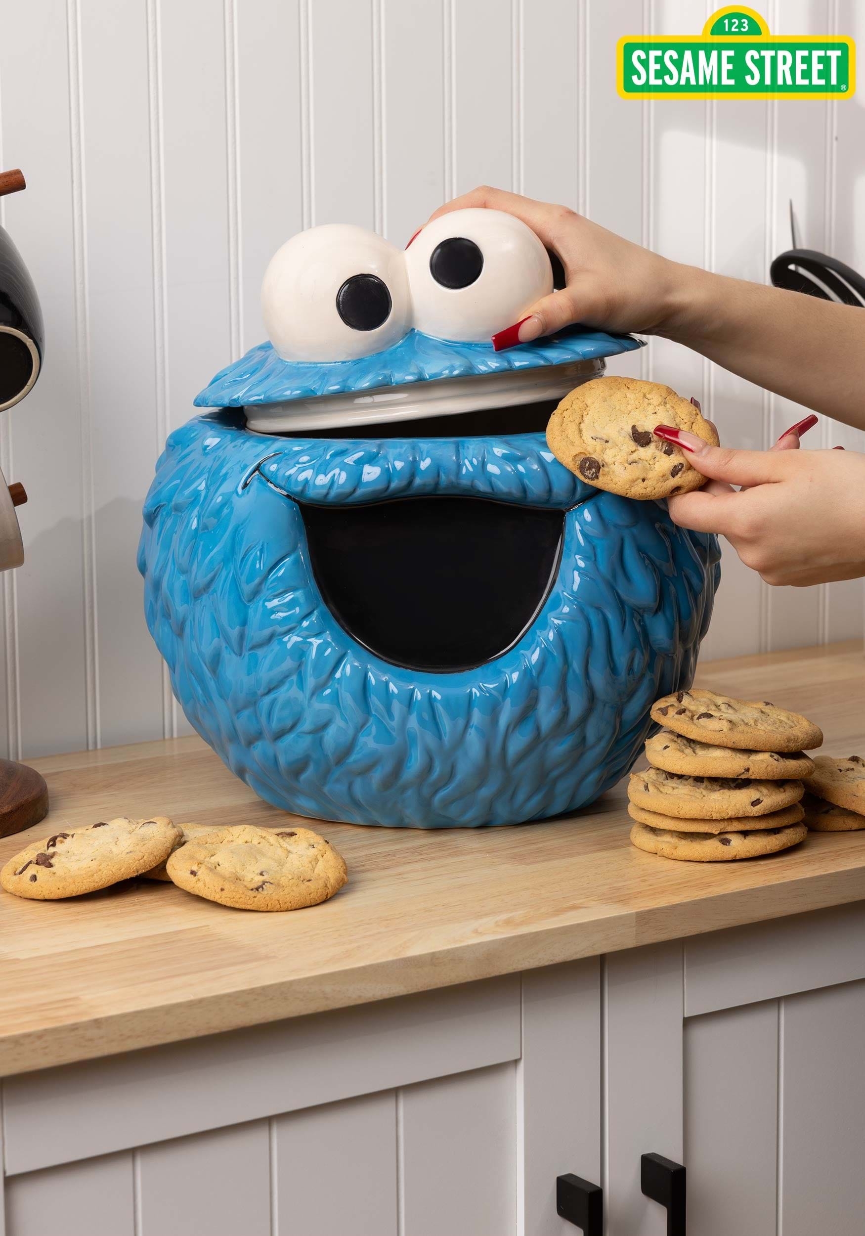 Cookie Jar with Fur Like Texture Cookie Monster Decor