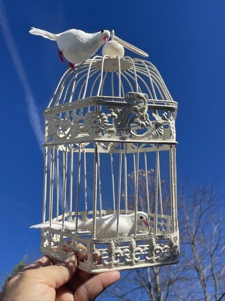 Decorative Birdcage with Distressed Finish for Shabby Chic Garden Decor