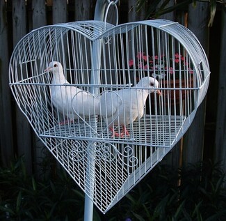 Decorative Cage with Heart-Shaped Frame and Heart Shaped Bird Cage