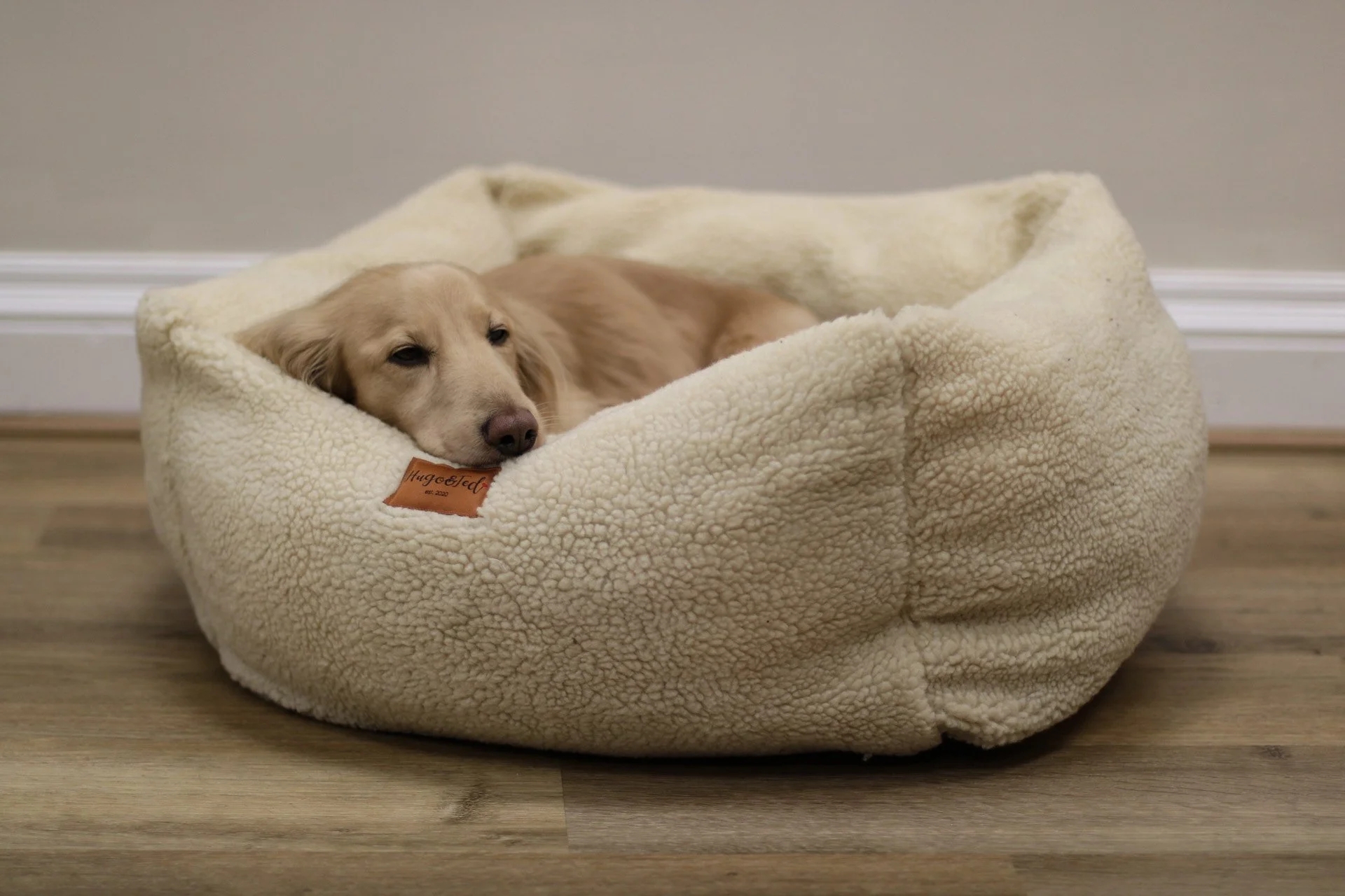 Dog Bed: Cream White Sherpa Fleece Bolstered Sides Nook
