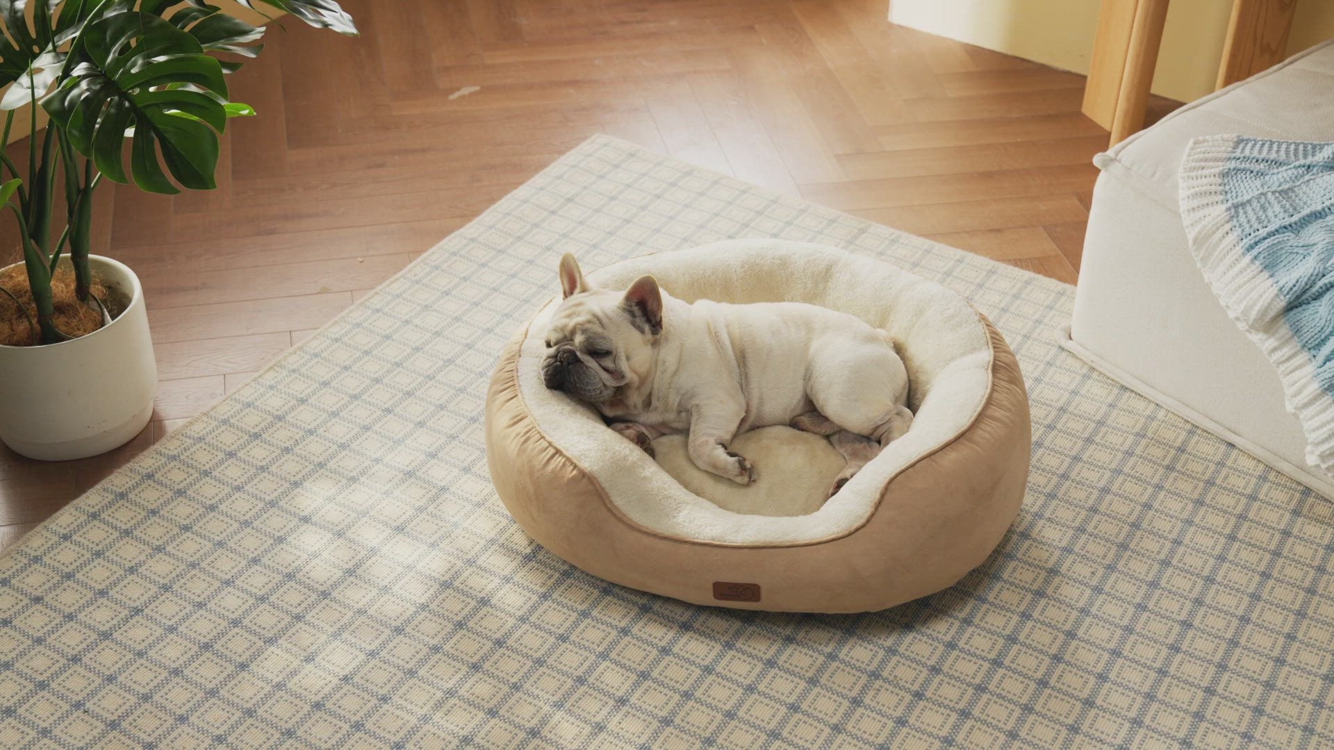 Dog Bed: Shearling Interior Tan Orthopedic Bolster Bed