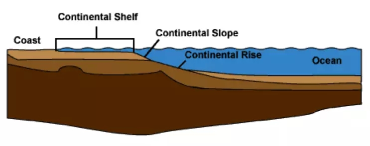 Educational Graphic: Coastal Gradient Nature Cross Section