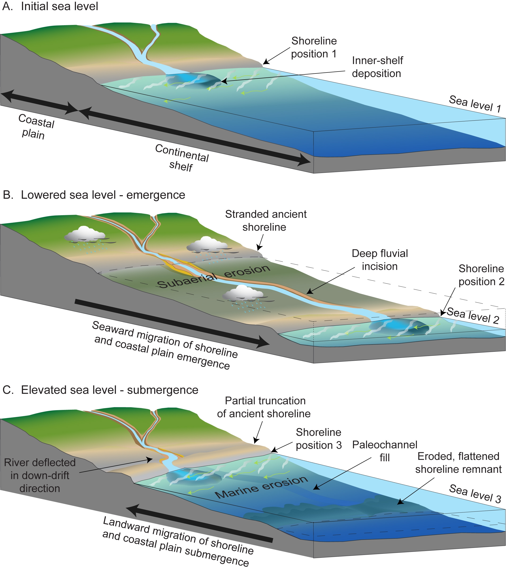 Educational Print: Triptych Layout Coastal Evolution Art
