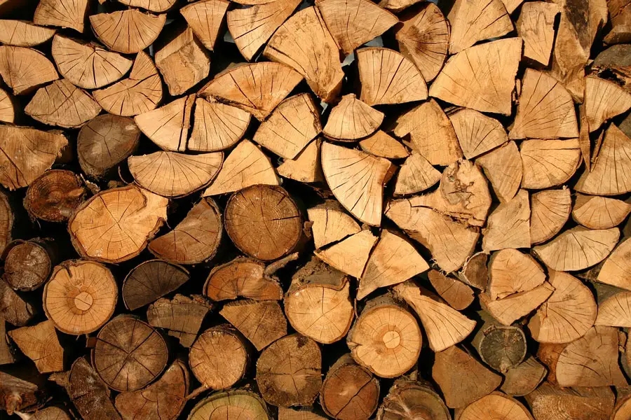 Firewood Interlocking Stack Growth Rings Natural Wood Wall