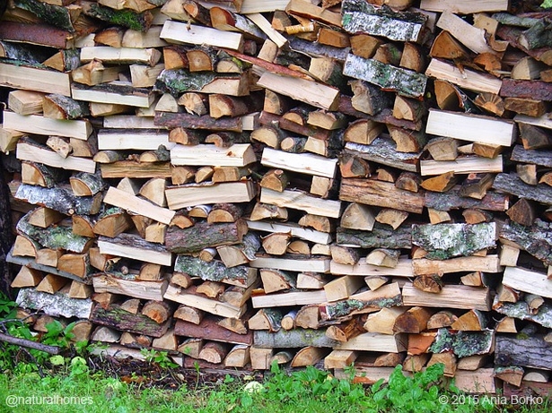 Firewood Stack Birch Bark Horizontal Layers Texture