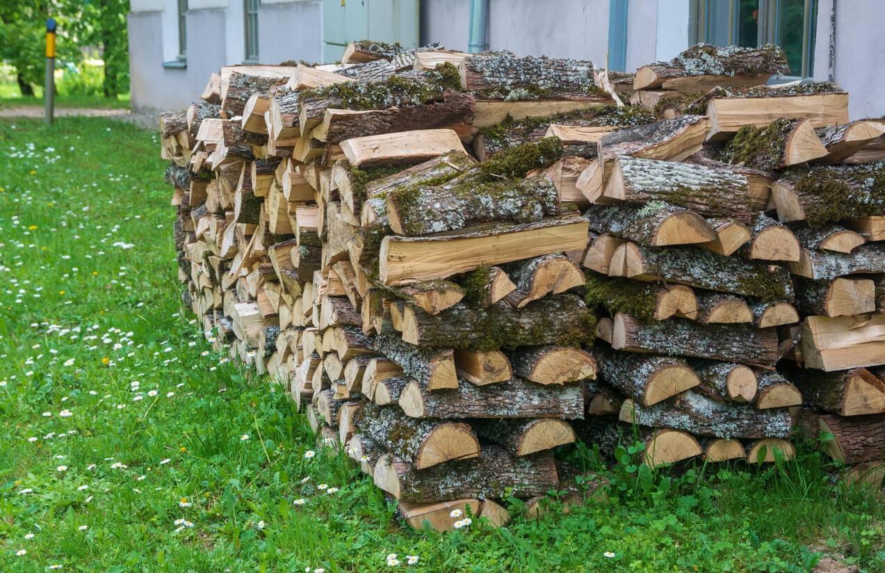 Firewood Stack Mossy Bark Criss-Cross Firewood Pile