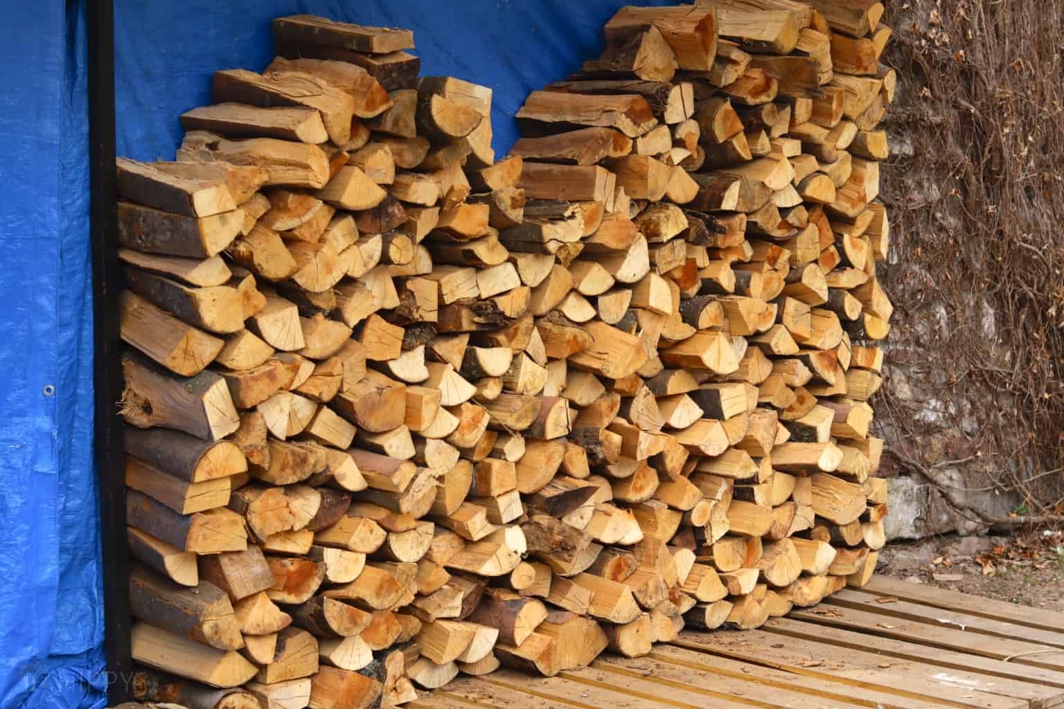 Firewood Stack Organized Split Logs Wood Storage Design