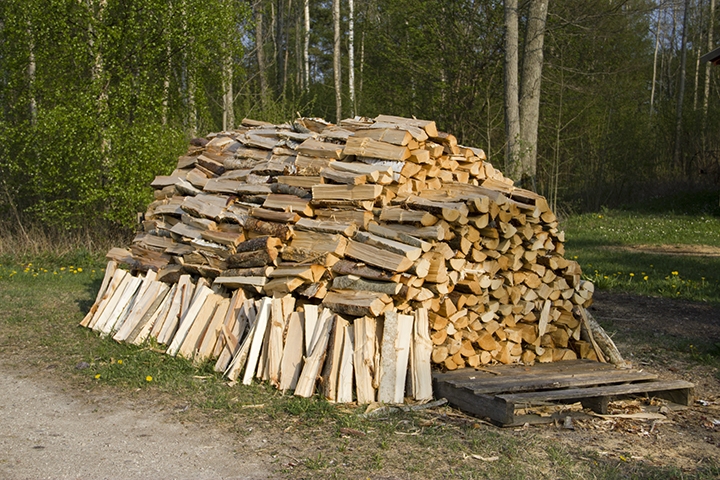 Firewood Stack Vertical Base Logs Woodland Garden Storage