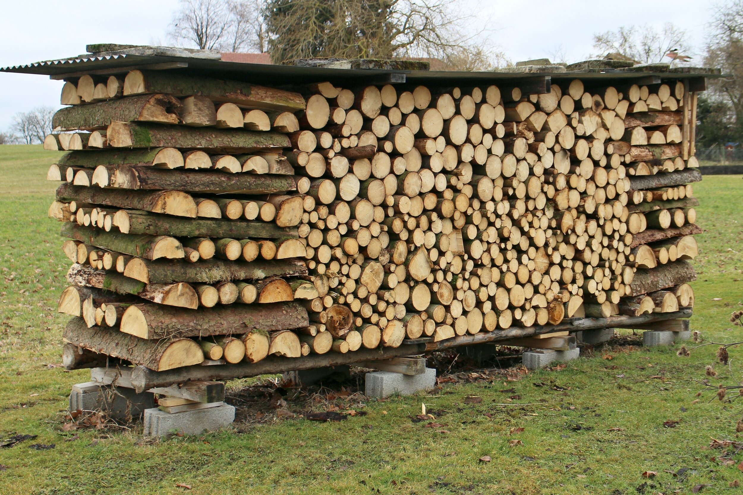 Firewood Storage Rack Elevated Base Protected Log Storage