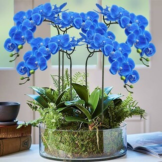 Floral Arrangement Royal Blue Petals Arched Stems Modern Blue Decor