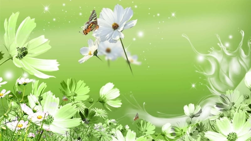 Floral Wallpaper: Lime Green Backdrop Butterfly Flower Mural