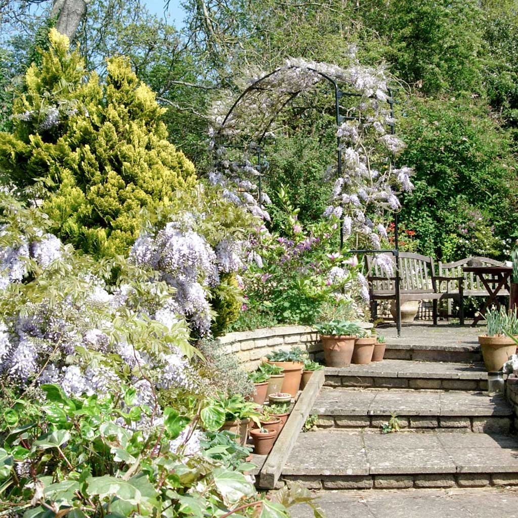 Garden Arch Wisteria Garden Arch and Stone Steps Design