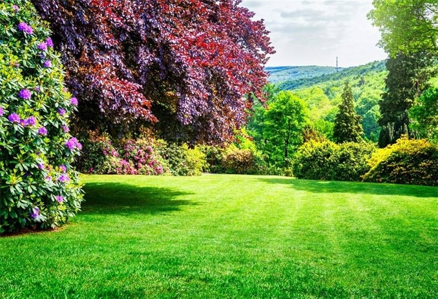Garden Landscape with Burgundy Specimen Tree Lush Garden Backdrop