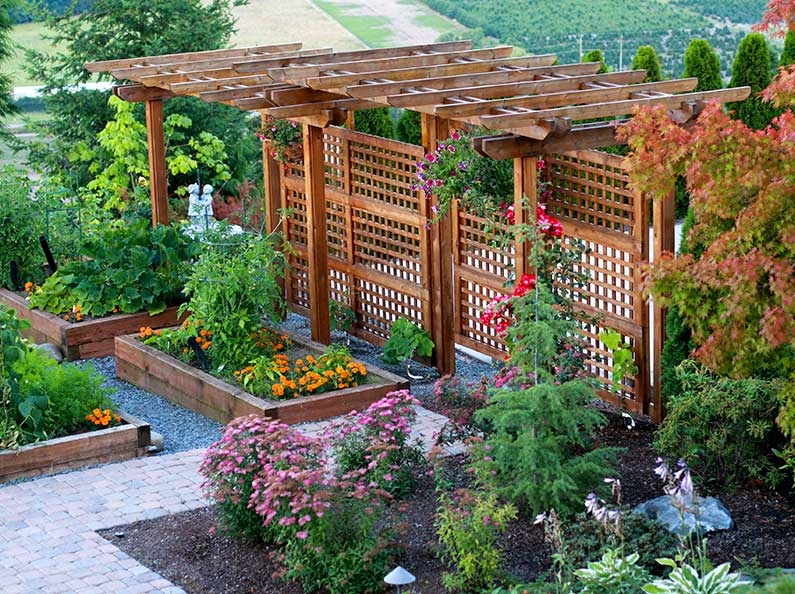 Garden Pergola Lattice Panels and Tiered Raised Beds Design