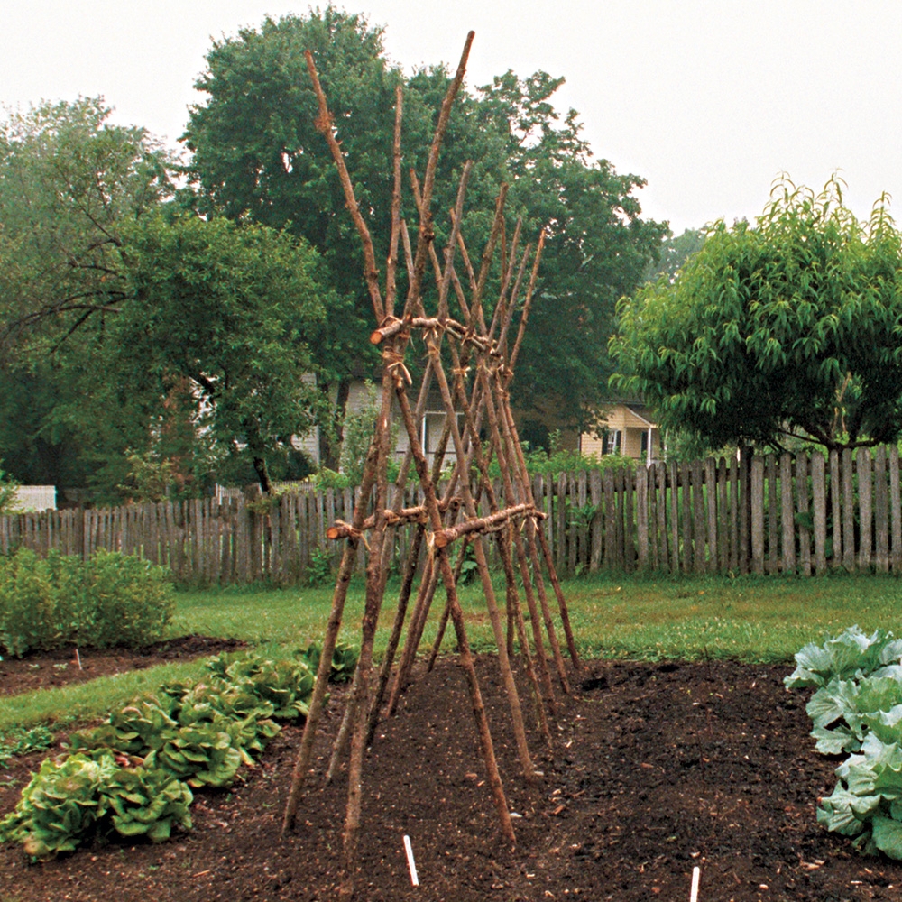 Garden Trellis Branch Construction and Natural Wood Obelisk