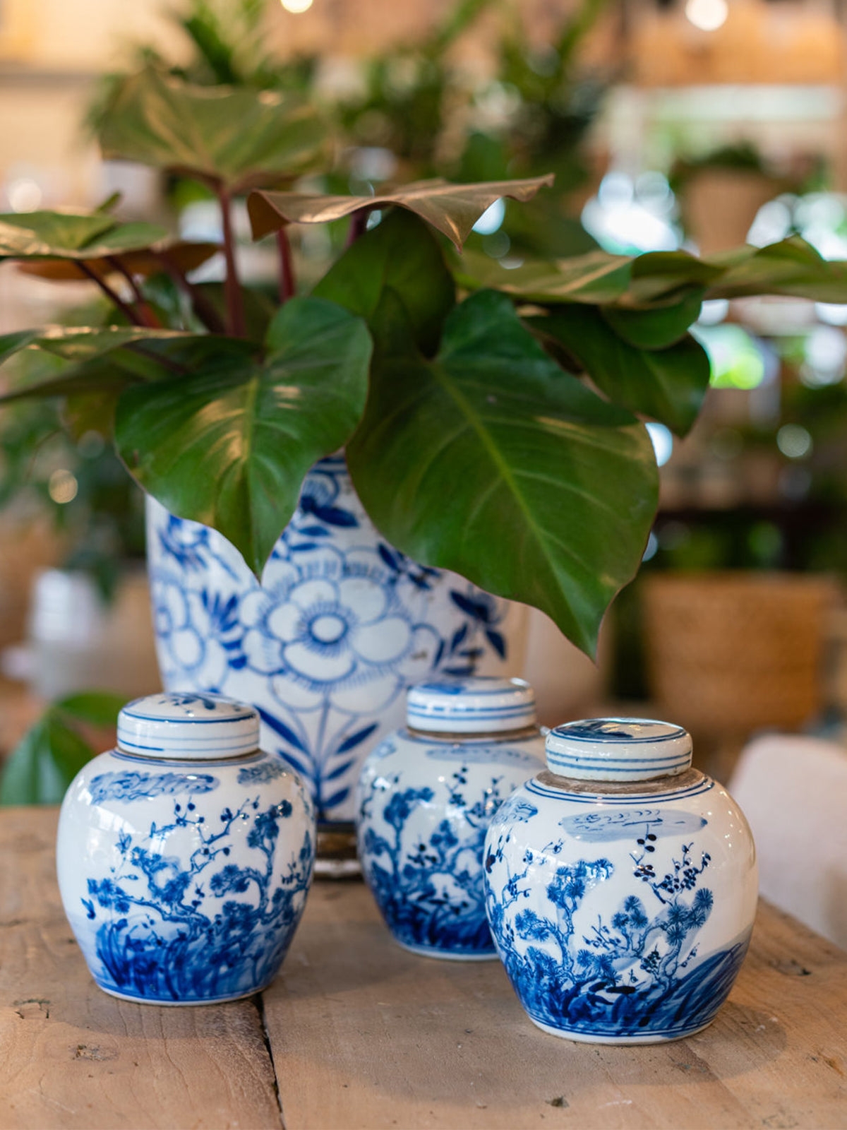 Ginger Jar Hand Painted Motifs and Botanical Pattern