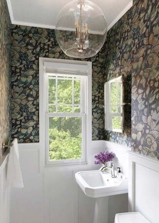 Glass Globe Chandelier with Butterfly Print Wallpaper Decor