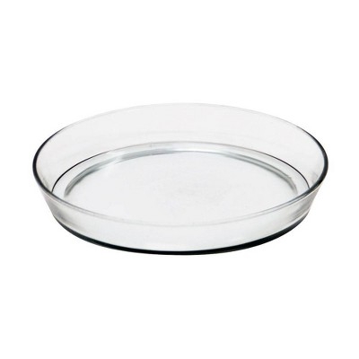 Glass Tray as a Clear Glass Plant Saucer for Garden