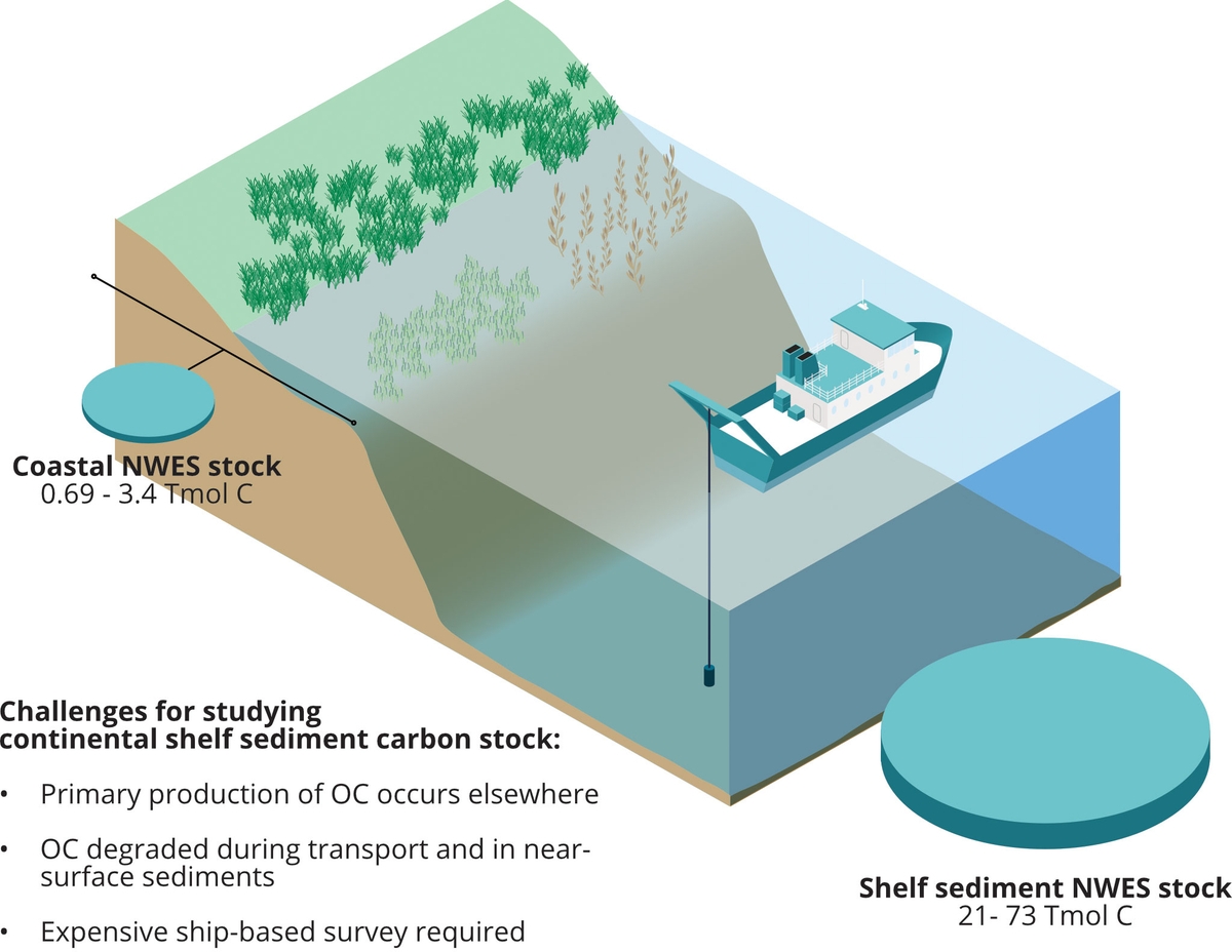 Infographic Poster: Isometric Perspective Science Print