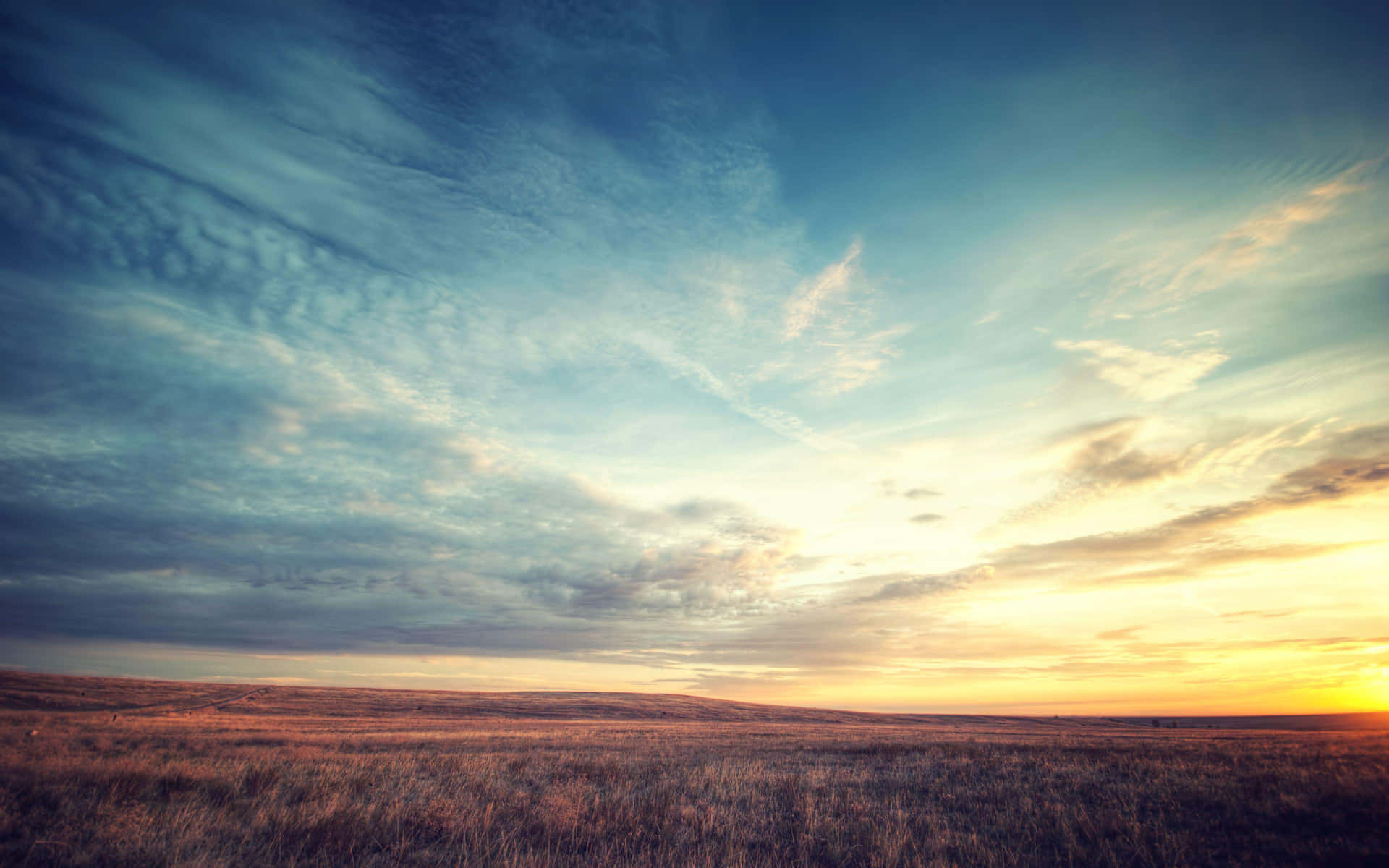 Landscape with Teal Sky View for a Golden Hour Prairie