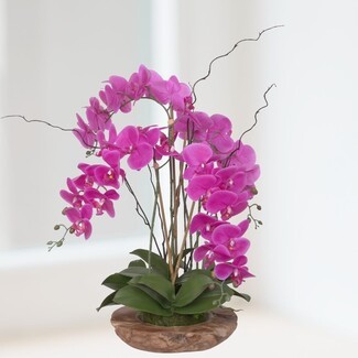 Orchid Arrangement Organic Wood Bowl Cascading Blooms Rustic Wood