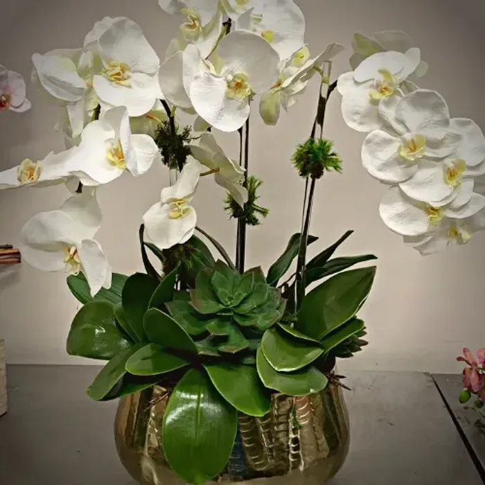 Orchid Arrangement Textured Gold Bowl Succulent Base Multi Stem