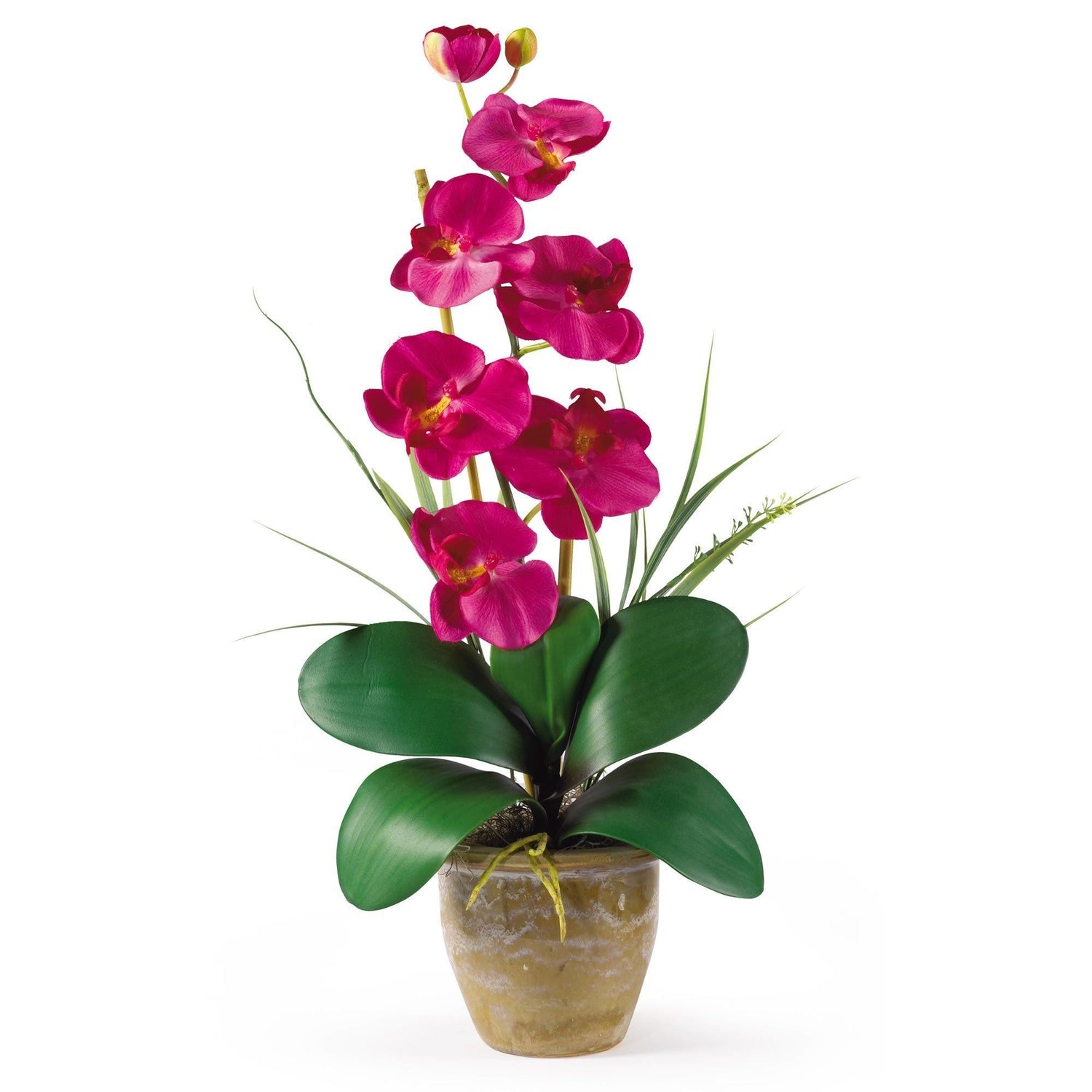 Orchid Arrangement Weathered Gold Pot Single Stem Realistic Roots