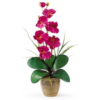 Orchid Arrangement Weathered Gold Pot Single Stem Realistic Roots