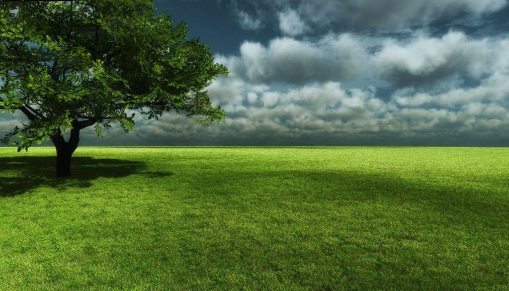 Outdoor Landscape with Lone Tree Minimalist Nature Background