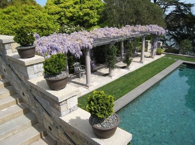 Pergola Wisteria Canopy and Mediterranean Poolside Garden